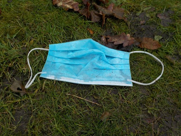 Wie schütze ich die Pfoten meines Hundes im Winter effektiv vor Streusalz?