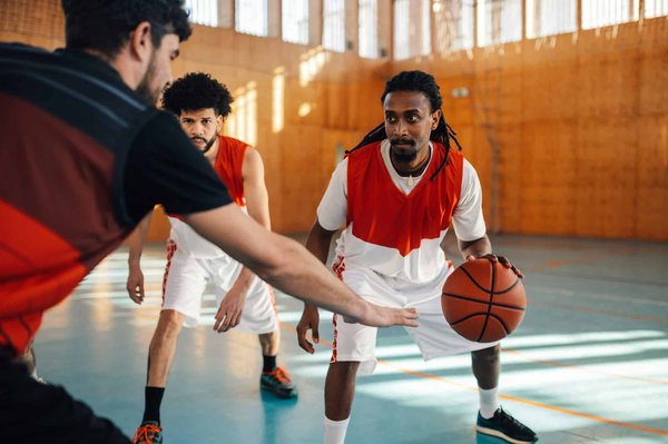 Wie kann ich meinem Sittich beibringen, auf Kommando zu landen?