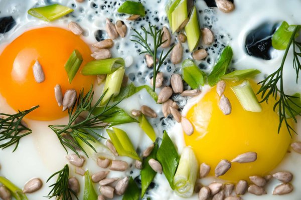 Wie kann eine nachhaltige Fassadenbegrünung zur Wertsteigerung beitragen?